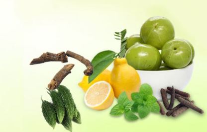 herbal-extract-manufacturer