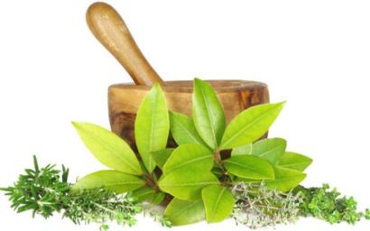 herbal-extract-manufactur